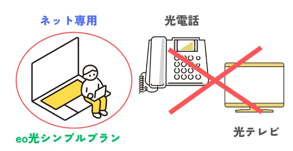 eo光シンプルプランのデメリット【その2】光電話や光テレビなどのオプションをつけられない