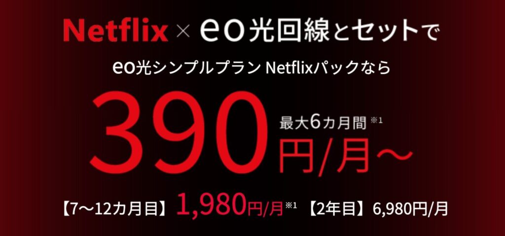 eo光シンプルプランNetflixプランなら最大6ヶ月390円のハイコスパ