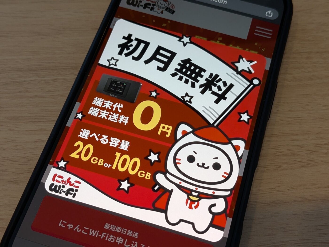 100GBで一番安い「にゃんこWi-Fi」