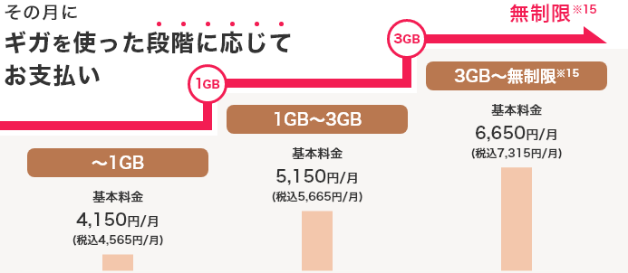 〜1GB、〜3GB、無制限までギガを使った段階に応じて支払いができるプラン。