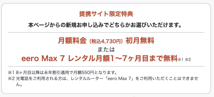 BB.excite光 10Gのeero Max 7レンタル料金
